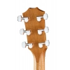 Акустична гітара Taylor 214ce Special Edition Honeyb