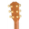 Акустическая гитара Taylor 224ce-K DLX