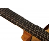 Акустична гітара Taylor 254ce Plus