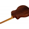 Акустична гітара Taylor 254ce Plus