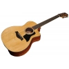 Акустична гітара Taylor 254ce Plus