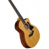 Акустична гітара Taylor 254ce Plus