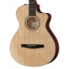 Класична гітара Taylor 312ce-N Nylon