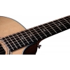 Акустична гітара Taylor 354ce
