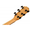 Акустична гітара Taylor Academy 10e Walnut/Eucalyptus