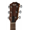 Акустична гітара Taylor Academy 10e Walnut/Eucalyptus