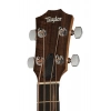Бас-гітара Taylor GS Mini-e Bass