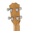 Бас-гітара Taylor GS Mini-e Bass