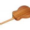 Акустична гітара Taylor GS Mini Mahogany