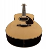 Акустична гітара Yamaha LS 6 A.R.E NT