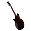 Електрогітара Yamaha Revstar RSP20X R. Br. Charcoal